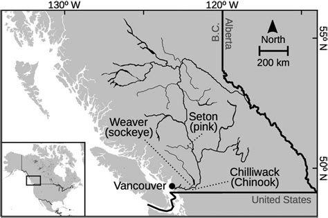 Map Of The Fraser River Drainage British Columbia Canada Spawning