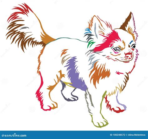 Colorful Decorative Standing Portrait Of Dog Long Haired Chihuahua