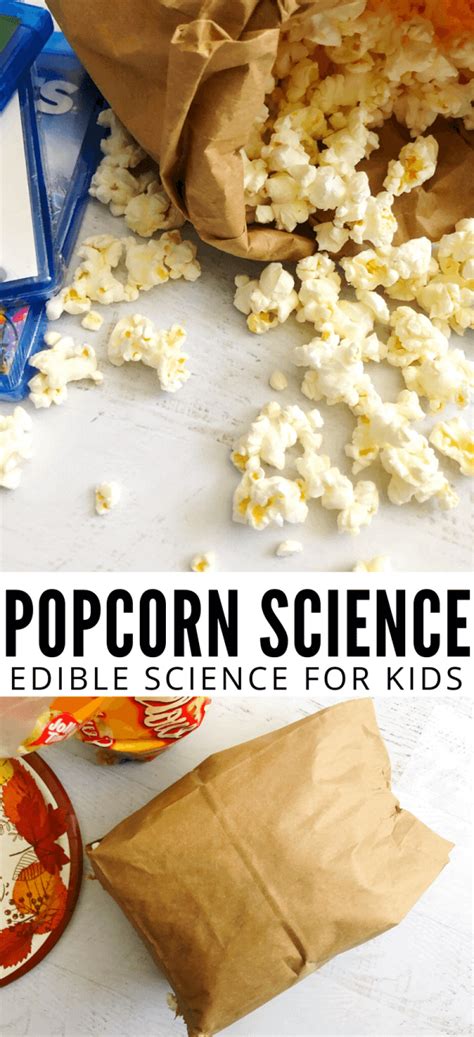 Popcorn Science Project Little Bins For Little Hands