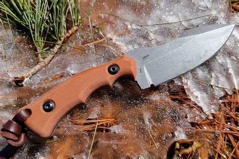 one of the best fixed blade knives of 2023 crkt bugsy review laptrinhx news