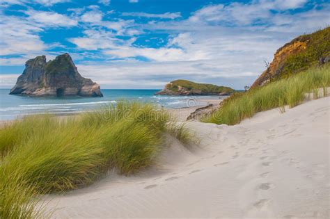 Vegetazione Della Duna Alla Spiaggia Famosa Di Wharariki Isola Del Sud