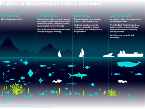Marine Protected Areas An Update On The Research