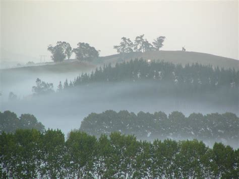 Misty Trees Mist Rises Over The Waikato Countryside South Flickr
