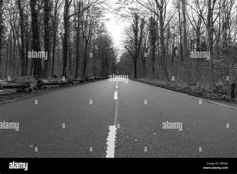 Lonely Country Road Through The Forest Stock Photo Alamy