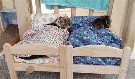 Cat Owners In Japan Turn Ikea Doll Beds Into Adorable Cat Beds