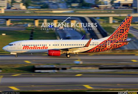 Here is how is it like: 9M-LCD - Malindo Air Boeing 737-800 at Kuala Lumpur Intl ...