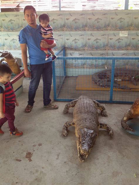 Makan khanom chin asli thai food orang thailand masak. ivanildosantos: foto buaya makan orang