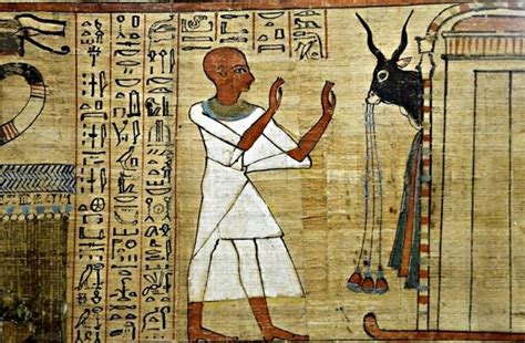 Book Of The Dead A Magical Guide To The Egyptian Underworld Nexus