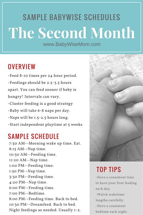 Sample Babywise Schedules The Second Month Chronicles Of A Babywise Mom