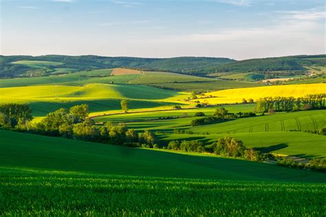 Paisagens Do Campo E Da Cidade