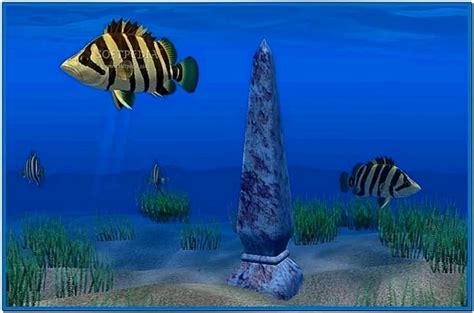 Animated Fish Screensavers Download Screensaversbiz
