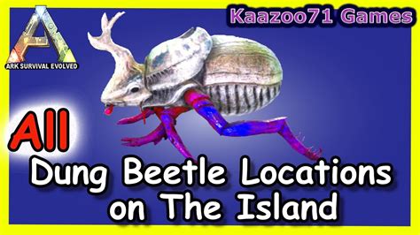 Dung Beetle Locations On The Island Ark YouTube