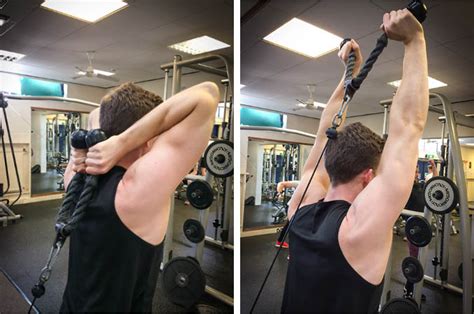 Overhead Cable Triceps Extension Exercise Guide TrainEatGain Com