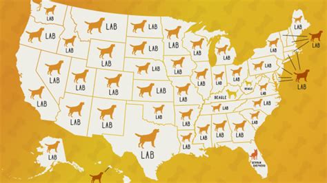 The Most Popular Dog Breeds In Each State Mental Floss