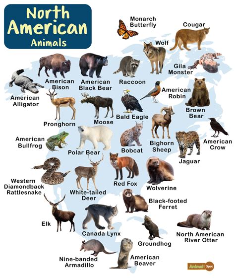 North American Endangered Animals List