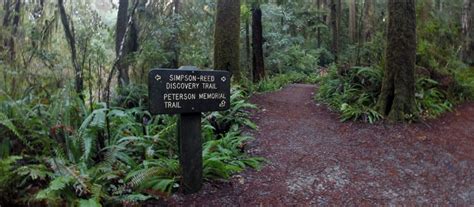 The jedediah smith memorial trail offers the best trail access in the sacramento area. Peterson Memorial Trail - Jedediah Smith Redwoods State ...
