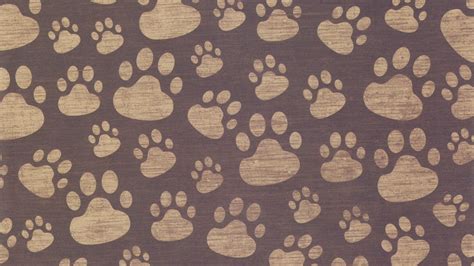 Dog Paws Wallpaper 41 Images