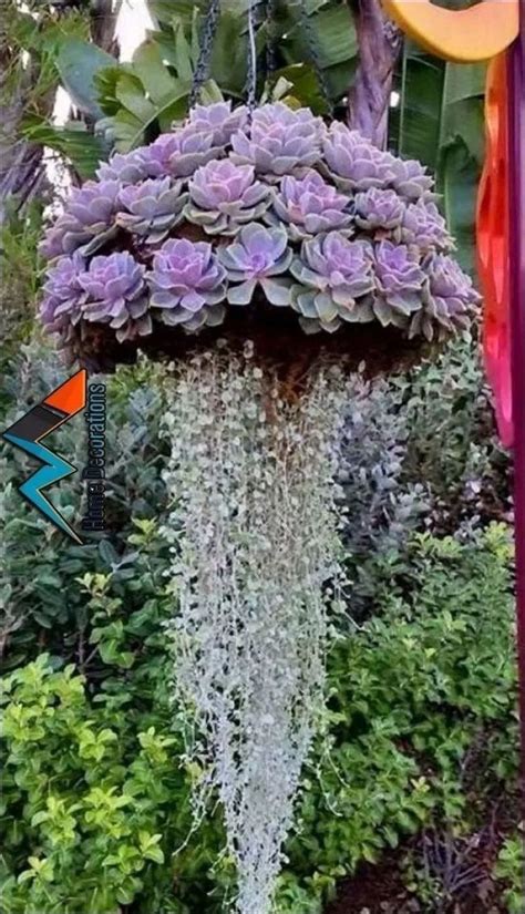 20 Lovely Hanging Flower To Beautify Your Small Garden In Summer