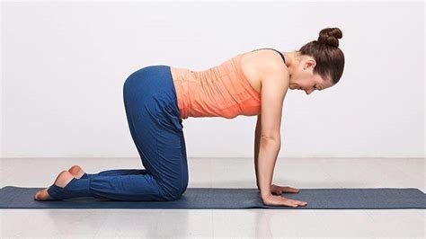 8 Yoga Poses For Beginners And Their Benefits Everyday Health