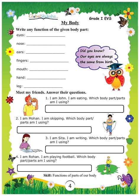 3rd grade worksheet for class 3 evs. Buy Worksheets for Class 1 - Environmental Science (EVS ...