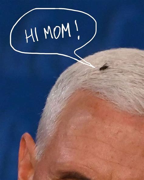 47 Memes That Wouldn’t Exist If The Fly Didn’t Land On Mike Pence’s Head Last Night Bored Panda