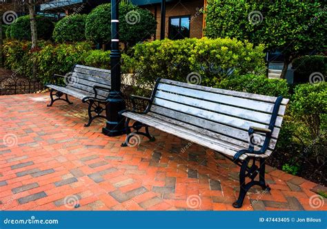 benches and bushes on the waterfront promenade in fells point b stock image image of bushes