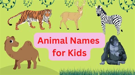 Learn Zoo Animals Names For Kids Educational Video For Children With