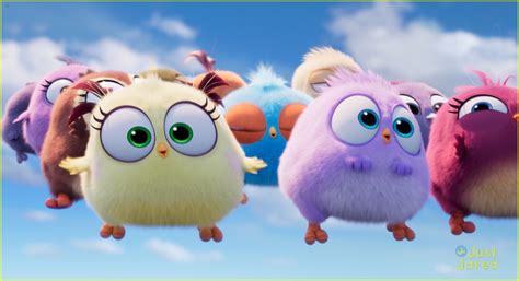 Angry Birds 2 Debuts Adorable Hatchlings Clip Watch Here Photo
