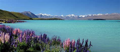 Alpine Lakes Journey Must Dos New Zealand