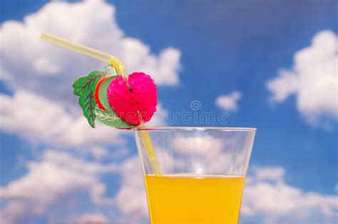 Orange Juice With Straw Stock Image Image Of Close Liquor 2499295