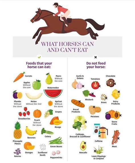 Pin By Julia Stmichel On Imperial Academy Resources Healthy Horses