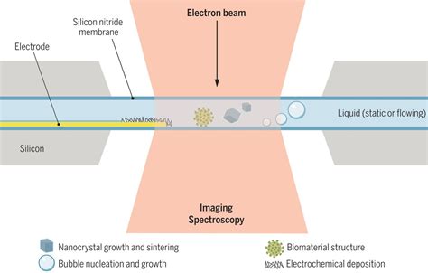 Opportunities And Challenges In Liquid Cell Electron Microscopy Science