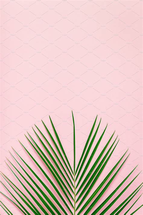 Tropical leaf on pastel background | Pastel background, Flower background wallpaper, Pastel ...