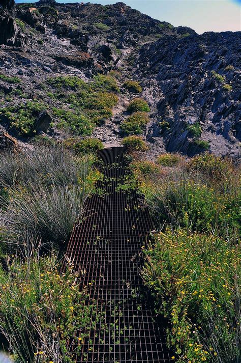 Path Landscape Architecture | Landscape architecture ... Decorating is among the best ways to.