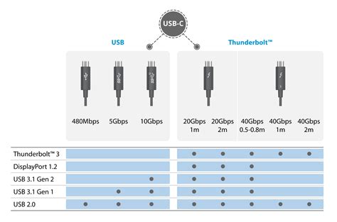Usb C To Usb C Cable Everything You Need To Know P Shine Electronic