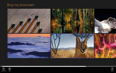 Free Download To Auto Set Daily Bing Background As Your Desktop Wallpaper In Windows X