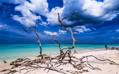 Landscape Nature Beach Sand Tropical Sea Sky