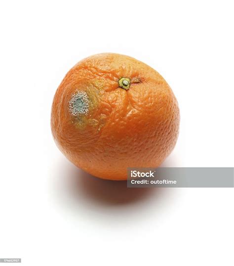 Rotten Orange Stock Photo Download Image Now Orange Fruit Orange