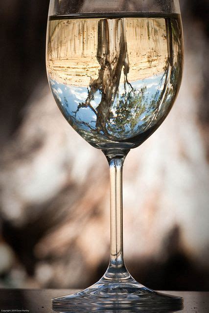 Glass Wine Reflection Photography Glass Photography Wine Glass