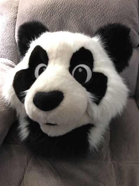 Midori On Panda Head Fursuit Furry