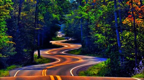 Curvy Forest Road Wallpaper Nature Wallpapers 20742