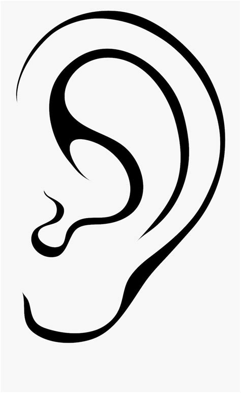 An Ear Clipart 10 Free Cliparts Download Images On Clipground 2024