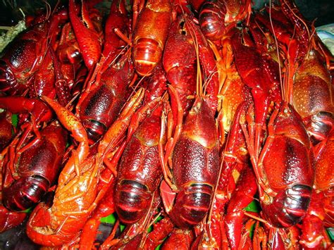 Yummy Crawfish Bangkok Thailand Christmas Dinner Buffet Flickr