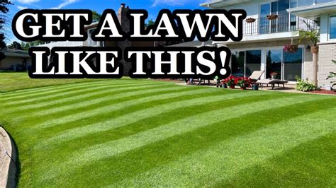 Fix An Ugly Lawn This Spring First Steps Youtube