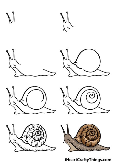 Share 84 Snail Easy Drawing Vn