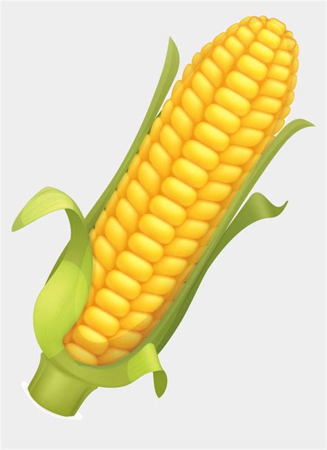 Corn Cob Png Corn Vector Cliparts And Cartoons Jingfm