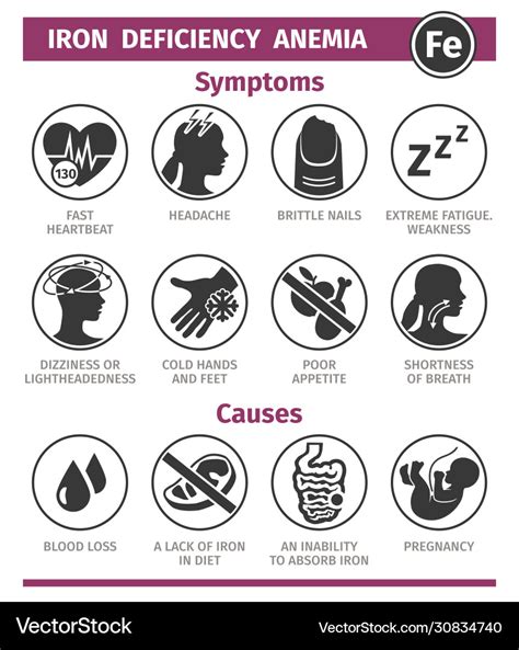 Symptoms And Causes Iron Deficiency Anemia Vector Image