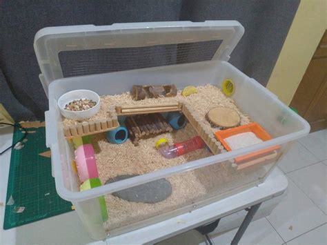 Make sure you abide by the best hamster cage dimensions, bigger is always better. Hamster Bin Cages by Philippine Hamster Keepers in 2020 | Hamster bin cage, Hamster diy cage ...