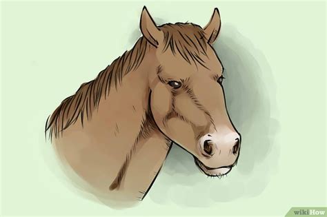 Portret tekenen is vaak geen appeltje eitje. Een paard tekenen (met afbeeldingen) - wikiHow