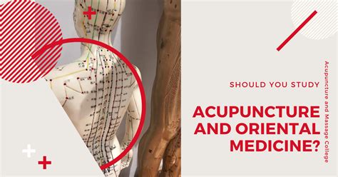 Should You Study Acupuncture And Oriental Medicine